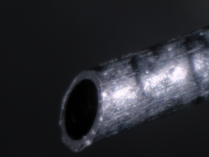 The fiber tip, which is cut at an angle of 30 degrees, and positioned within a few mm of the TEM sample. 