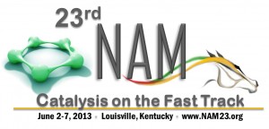 23NA catalysis NAM_logo